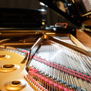 Piano para el concierto 